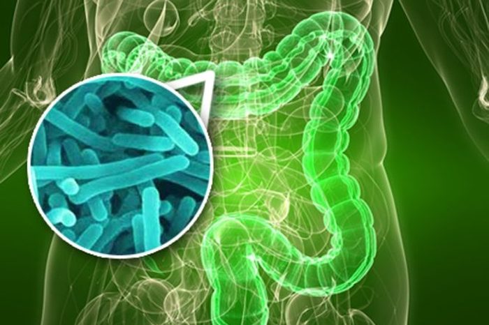 Mikrobiom i jego wpływ na zdrowie całego organizmu
