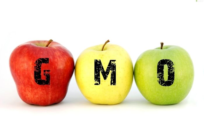 Żywność modyfikowana genetycznie – czy jest się czego bać